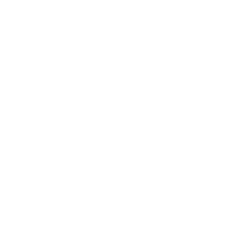 hail damage car icon